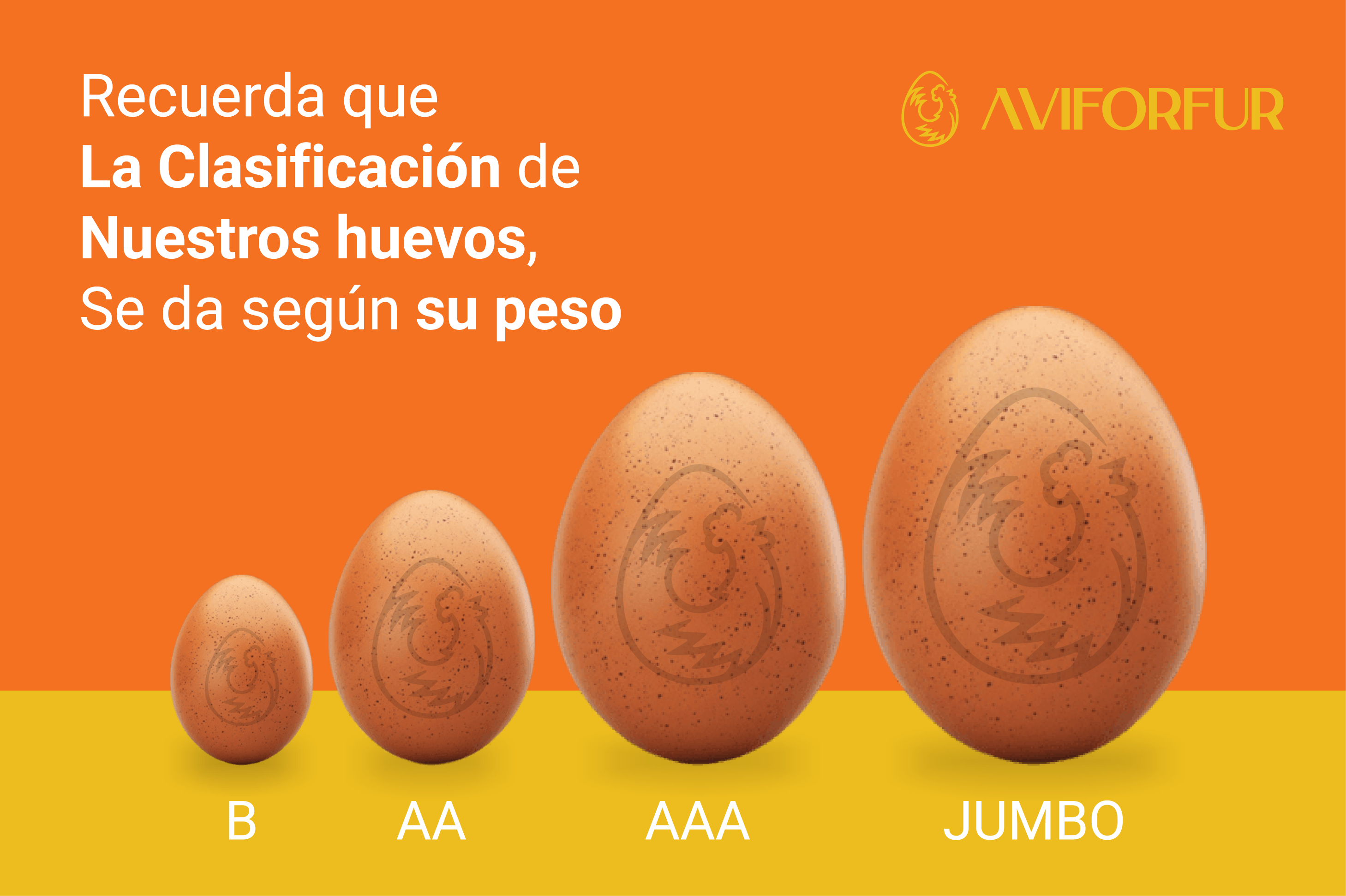 Clasificación de huevos